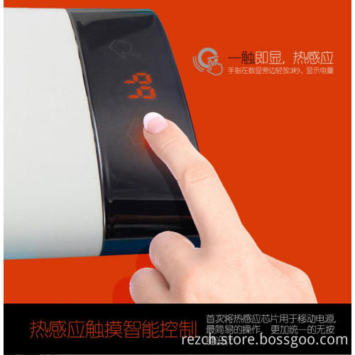 10000mAh Polymer Power Bank Dual USB